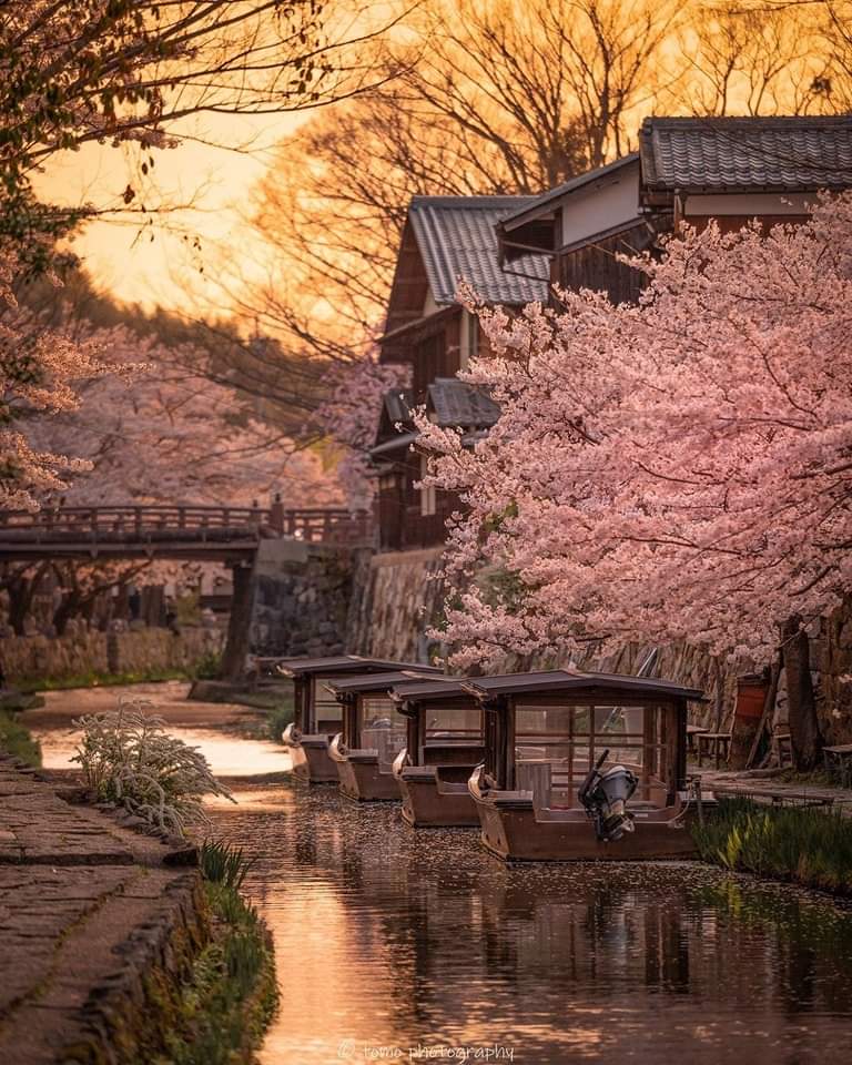 Gendai Reiki