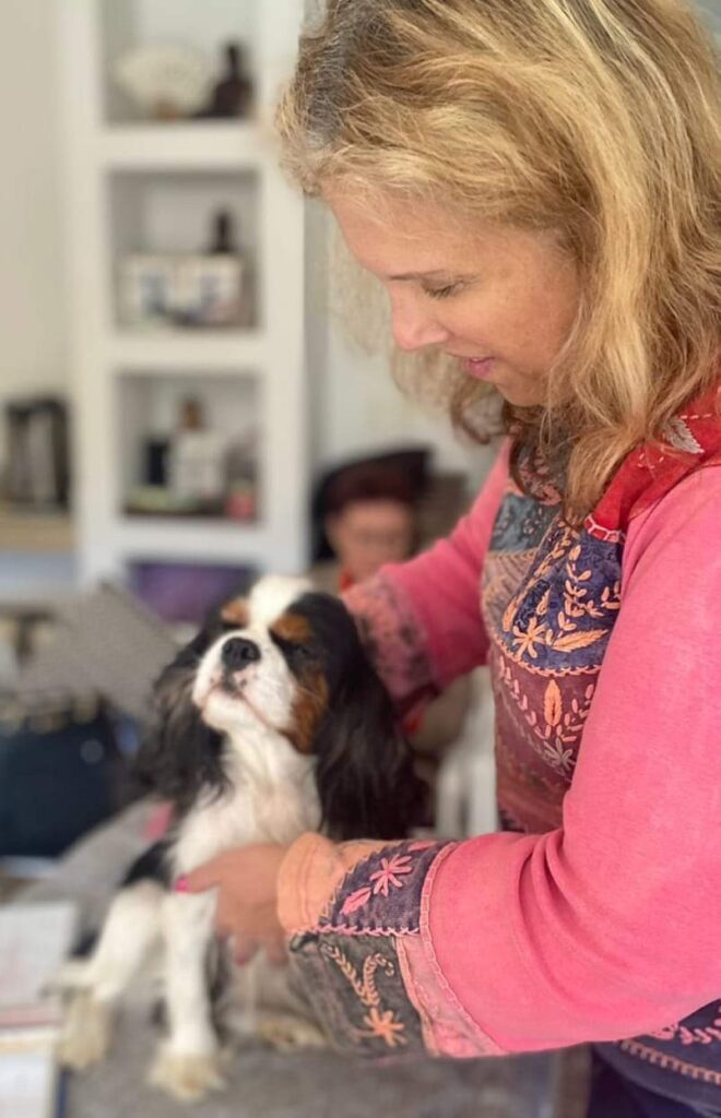 karen lange animal healing